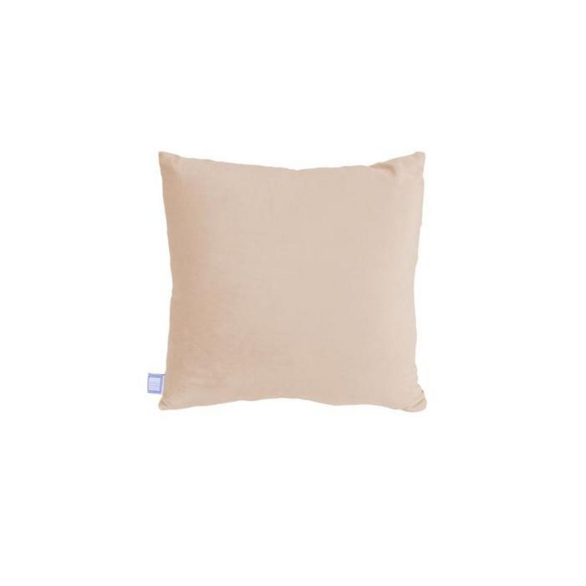 Paris Prix Lot de 2 Coussins Déco  Paulina  30x50cm Champagne