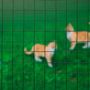 Voir la diapositive 2 : NATURE Nature Grillage metallique carre 0,5 x 2,5 m 13 mm Vert