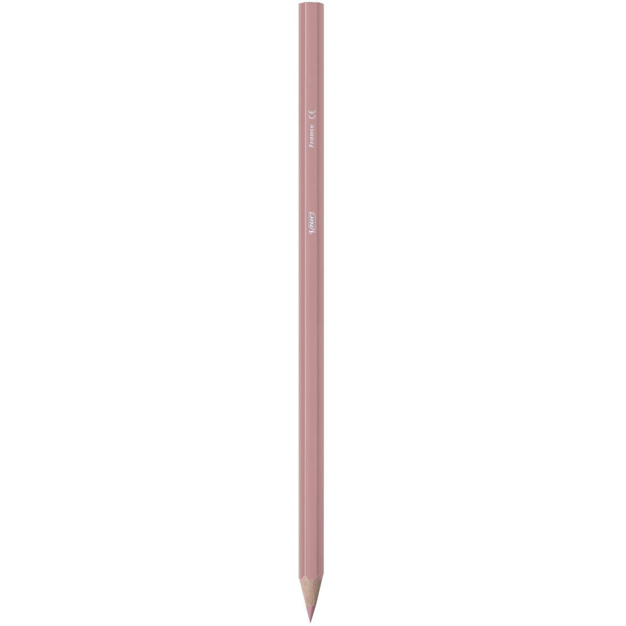 Voir la diapositive 8 : BIC Boîte de 18 crayons de couleur Kids Tropicolors