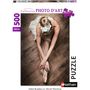 Voir la diapositive 8 : RAVENSBURGER Puzzles 500 pièces Nathan Collection