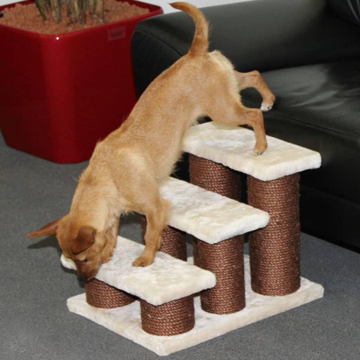 KERBL Kerbl Marches pour animaux de compagnie Easy Climb 45x35x34 cm 82410