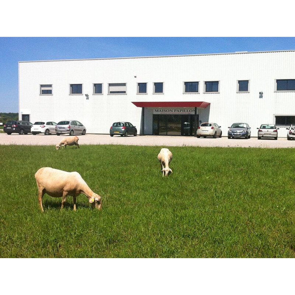 Smartbox Assortiment de terrines coffret bio livré à domicile - Coffret Cadeau Gastronomie