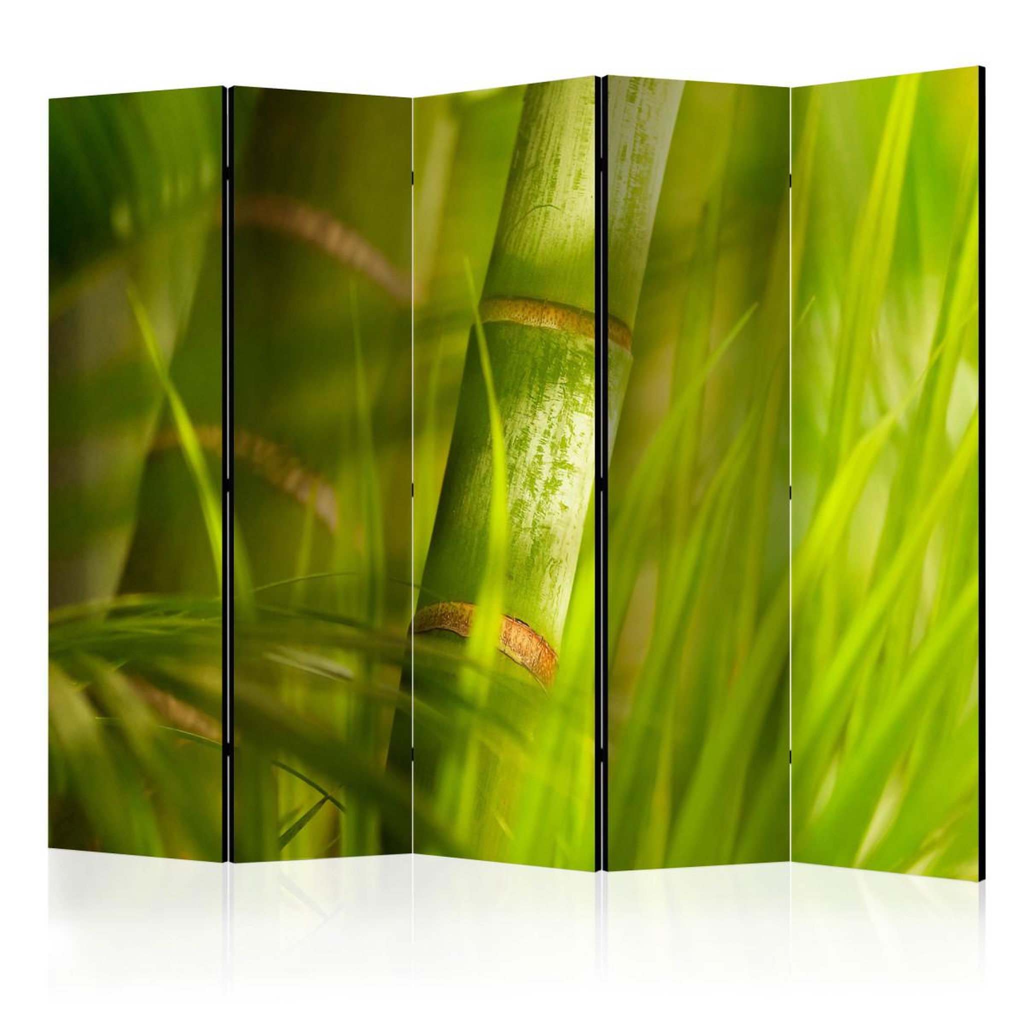 Paris Prix Paravent 5 volets  bamboo nature zen  172x225cm