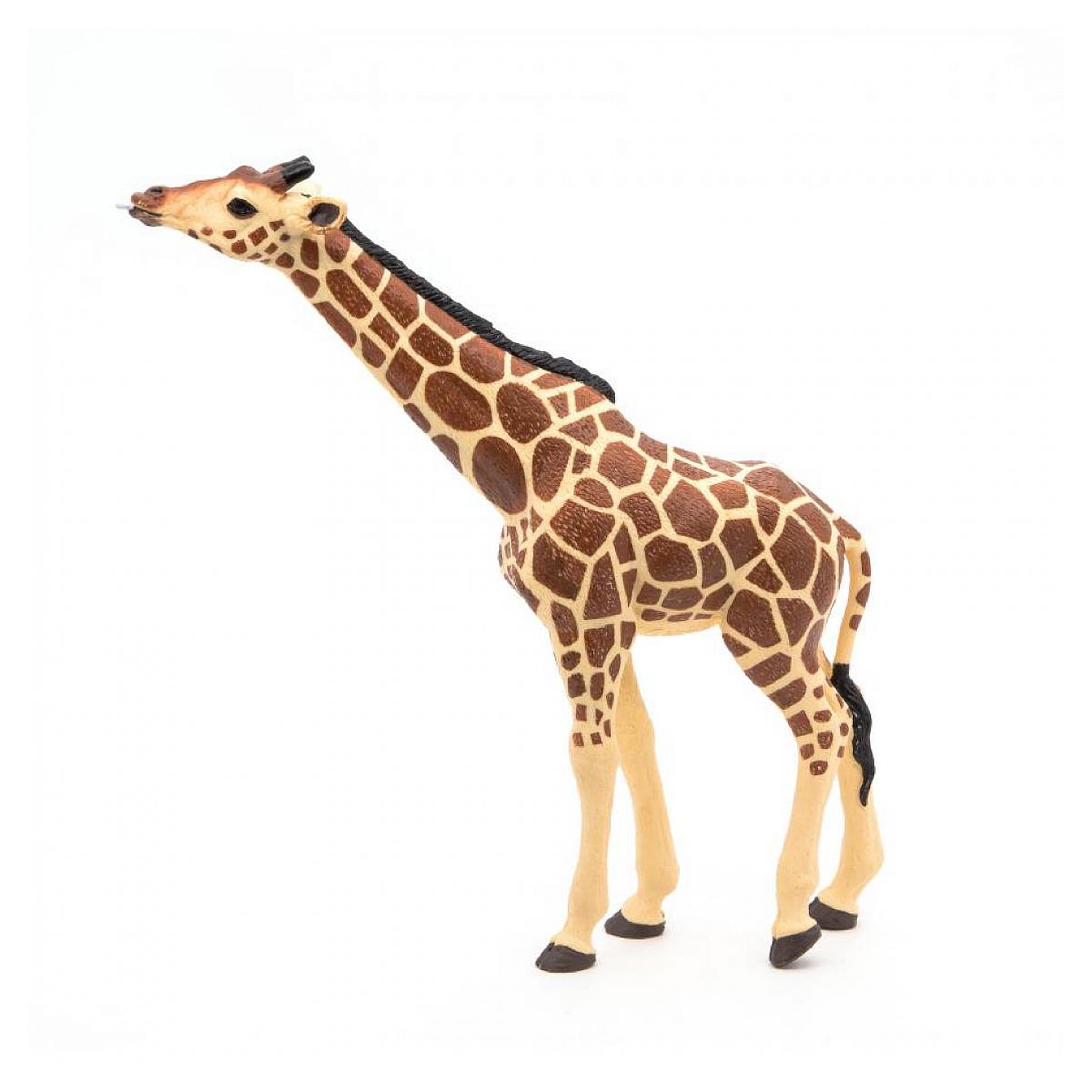 Voir la diapositive 5 : Papo 50236 Girafe tête levée savane