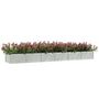 Voir la diapositive 3 : VIDAXL Lit sureleve de jardin 480x80x45 cm Acier galvanise Argente