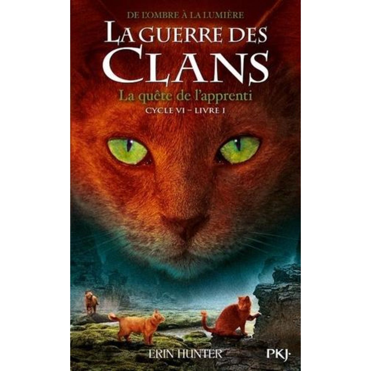 LA GUERRE DES CLANS : DE L'OMBRE A LA LUMIERE (CYCLE VI) TOME 1 : LA QUETE DE L'APPRENTI, Hunter Erin