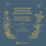 LE POUVOIR ANCESTRAL DES PLANTES. SOINS ET COSMETIQUES ; RECETTES DE CUISINE ; BOTANIQUE ASTROLOGIQUE VOLUME 1, L'ELEMENT AIR : LA FLEUR, Gayoso Ana