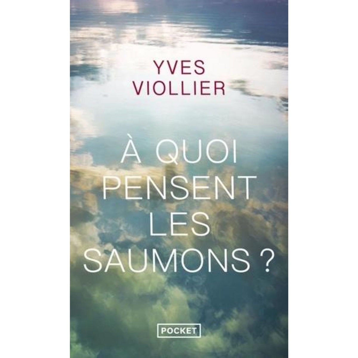 A QUOI PENSENT LES SAUMONS ?, Viollier Yves