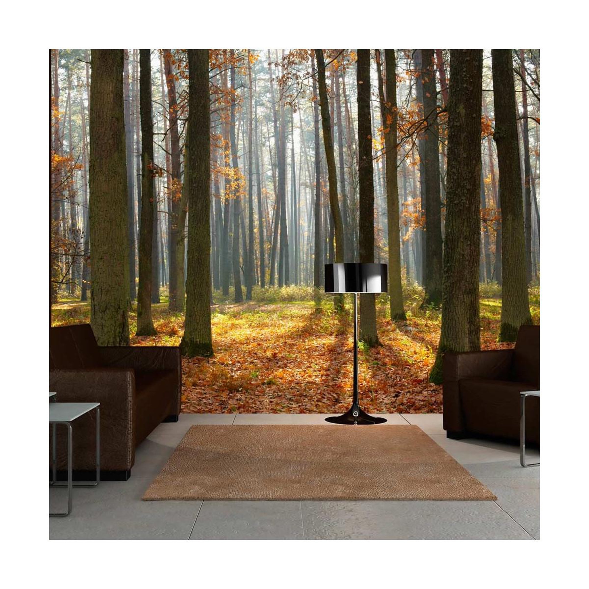 Voir la diapositive 1 : Paris Prix Papier Peint  Autumn Trees