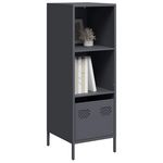 VIDAXL Buffet haut anthracite 35x39x103,5 cm acier