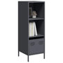 Voir la diapositive 1 : VIDAXL Buffet haut anthracite 35x39x103,5 cm acier