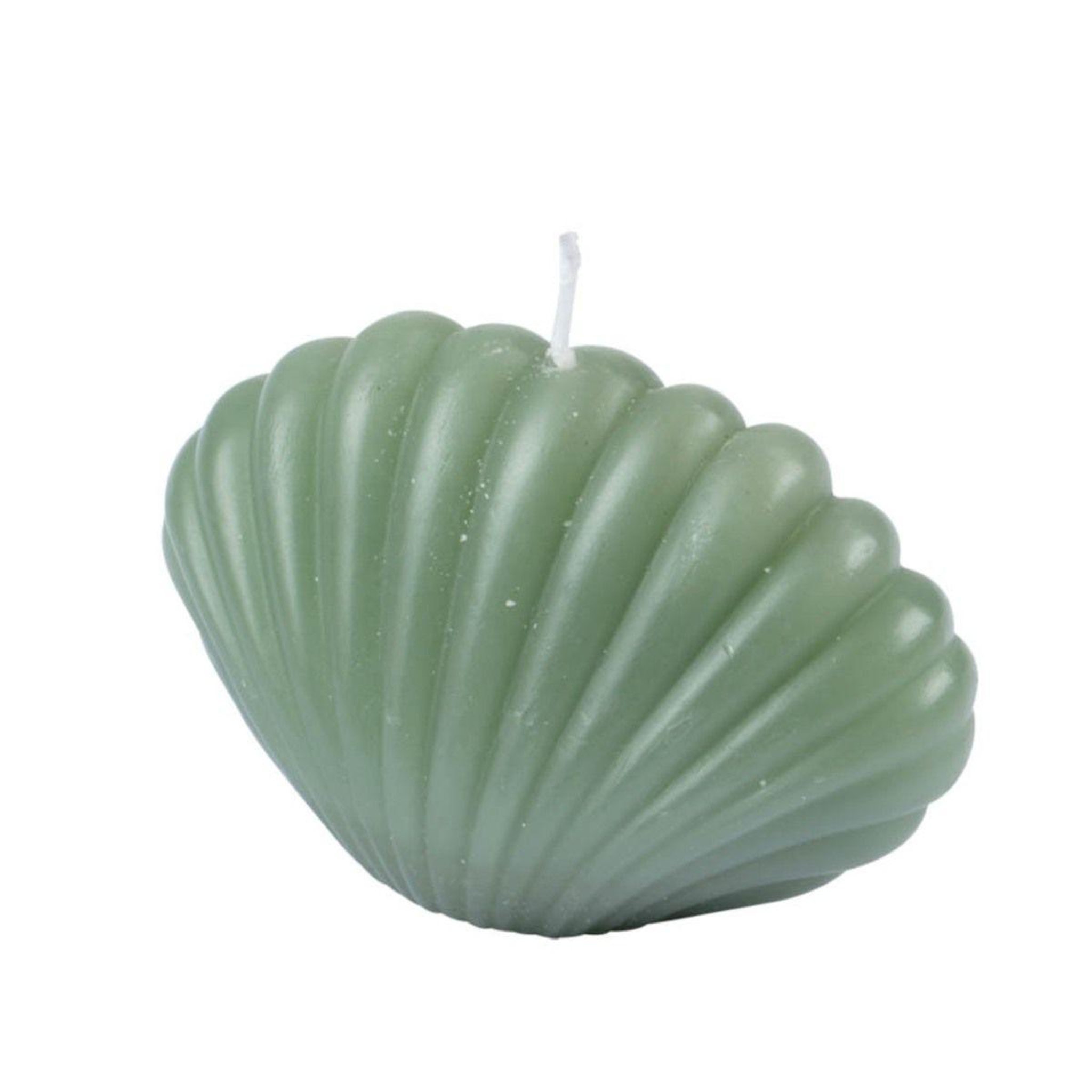 HOMEA Bougie déco coquillage  arty  6cm vert céladon