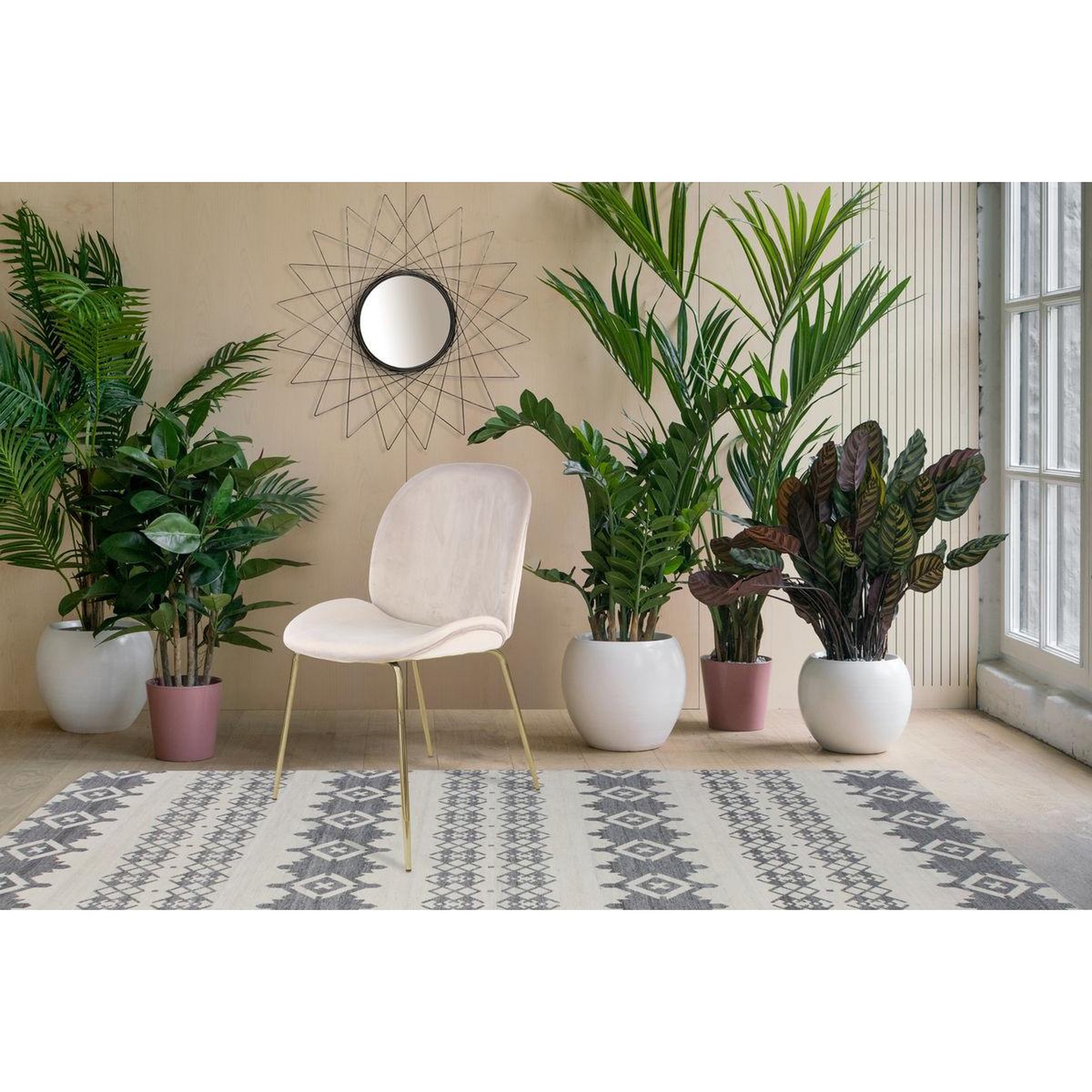 Voir la diapositive 3 : Paris Prix Lot de 2 chaises design  charlize  90cm beige & or