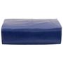 Voir la diapositive 2 : VIDAXL Bache bleu 3x3 m 650 g/m²