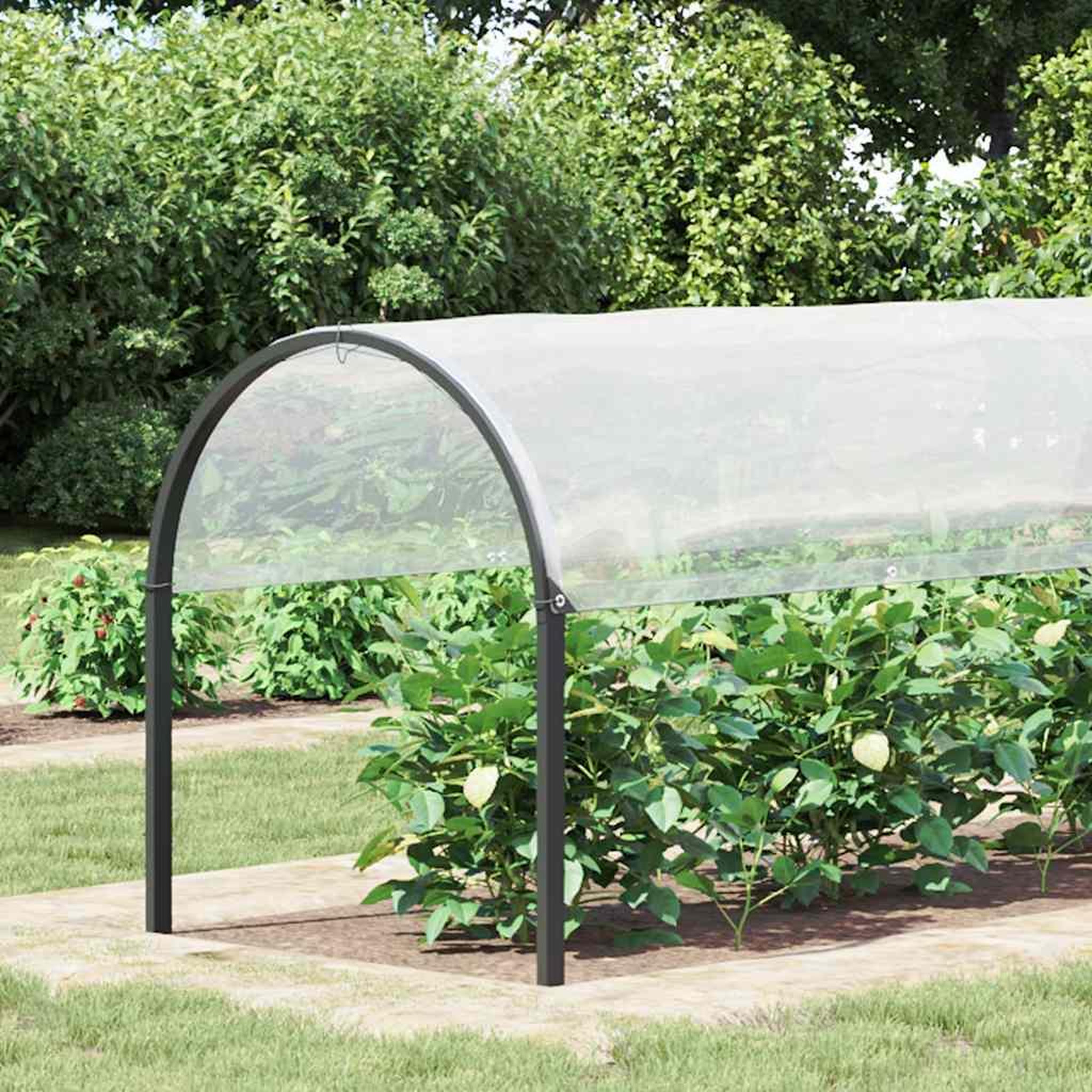 Voir la diapositive 2 : VIDAXL Housse de protection plantes avec œillets 2x8 m polyethylene