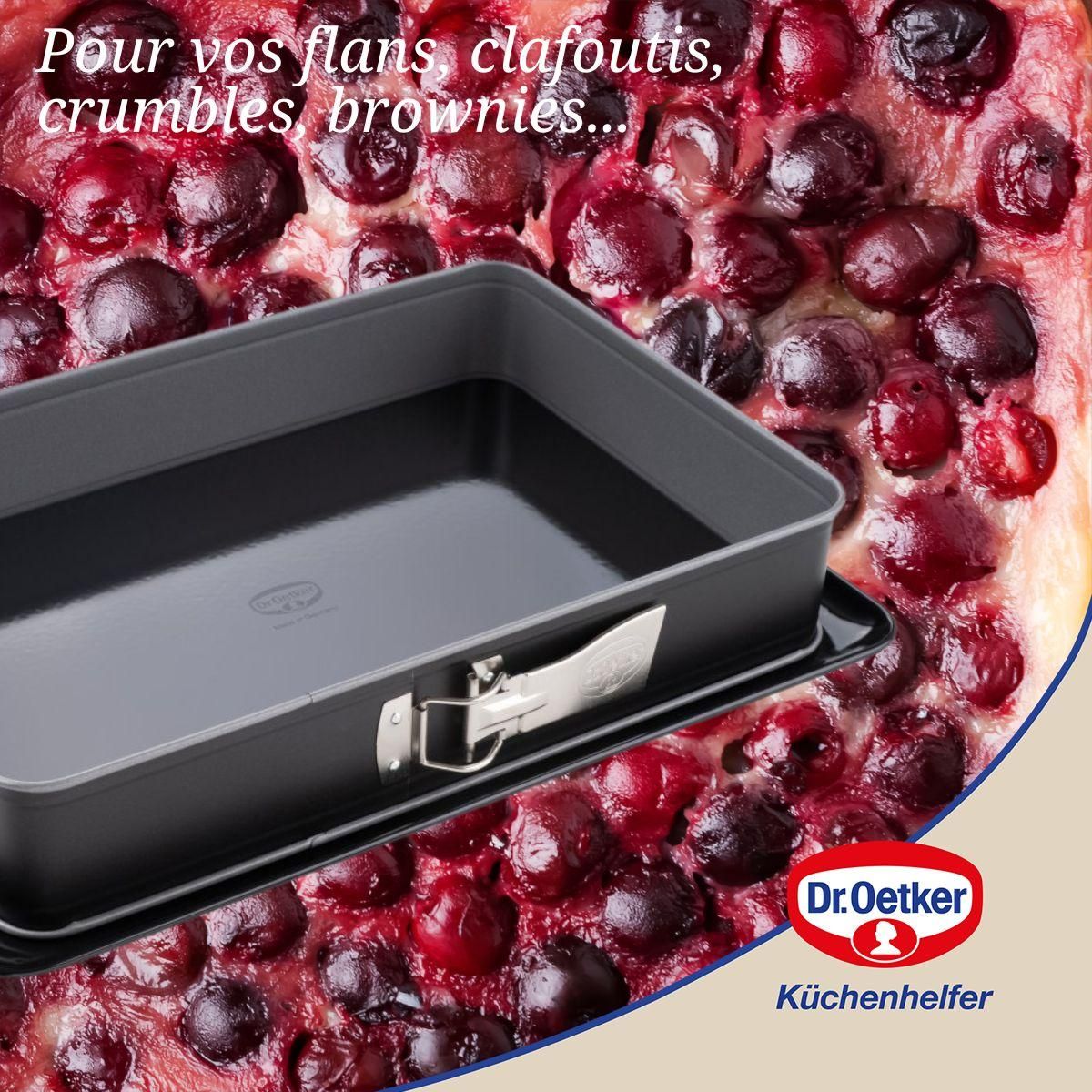 DR.OETKER Moule à gâteau et plat four 38 x 25 x 7 cm Dr Oetker Back-Idee Kreativ