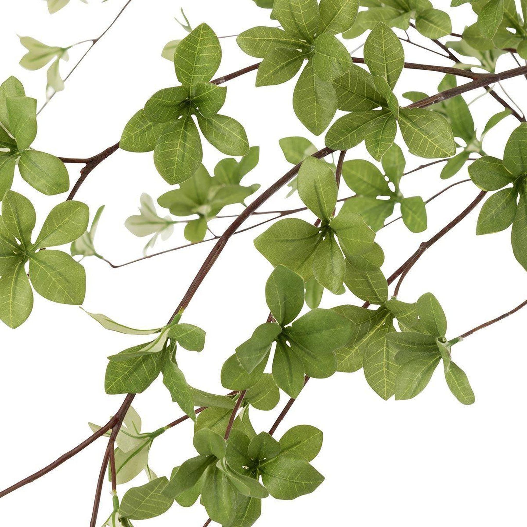Voir la diapositive 2 : J-LINE Plante artificielle  fines feuilles  190cm vert & noir