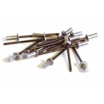 TECHMAN 100 rivets étanches alu/acier (tête plate) Ø 3,2 x 8 mm