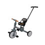 Voir la diapositive 1 : INTERBABY Tricycle 5 En 1 Mod. Rapit Rose