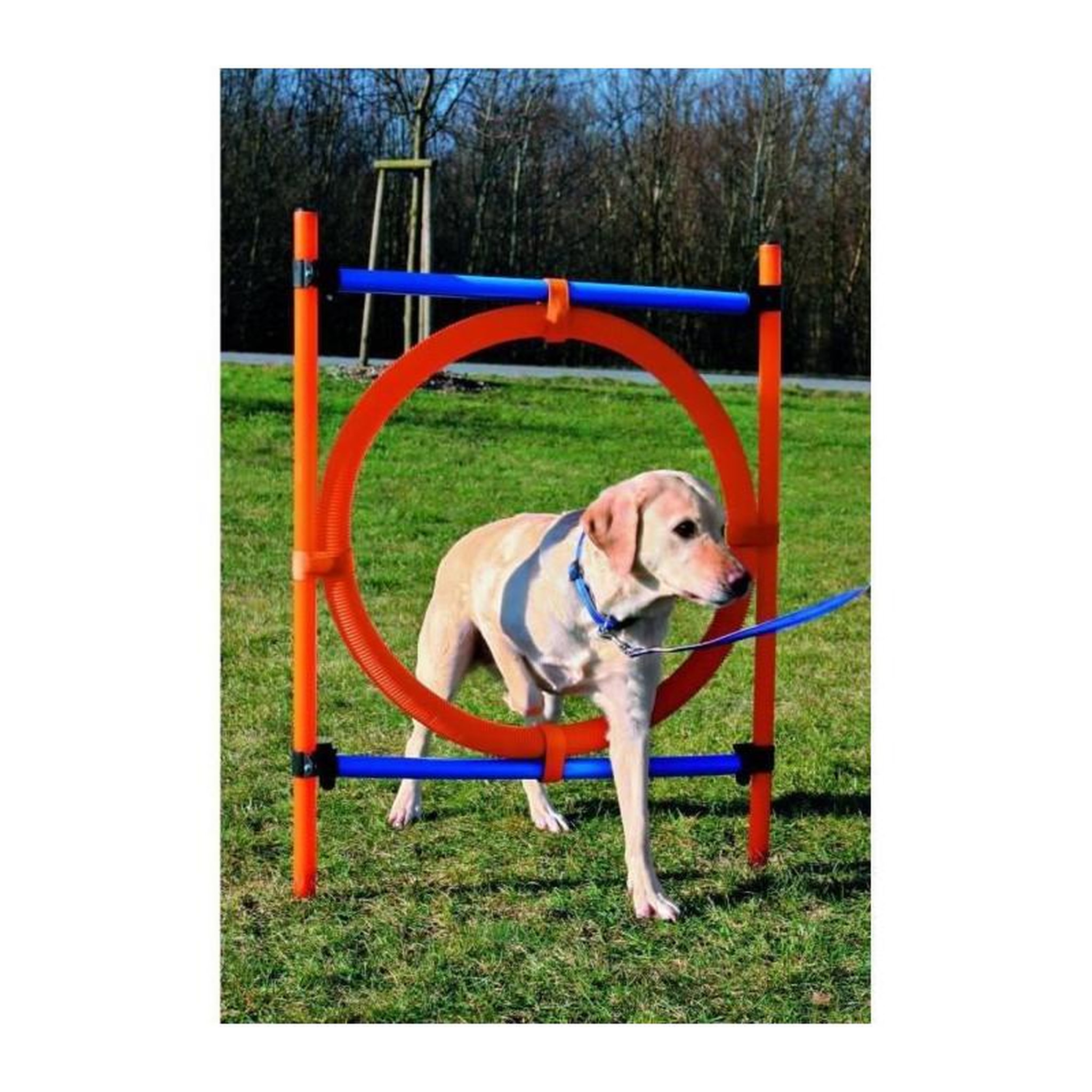 Voir la diapositive 2 : Trixie TRIXIE Cerceau d'agilité pour chiens 115 x 3cm plastique