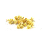 Graine créative Fleurs séchées décoratives Immortelle 15 g