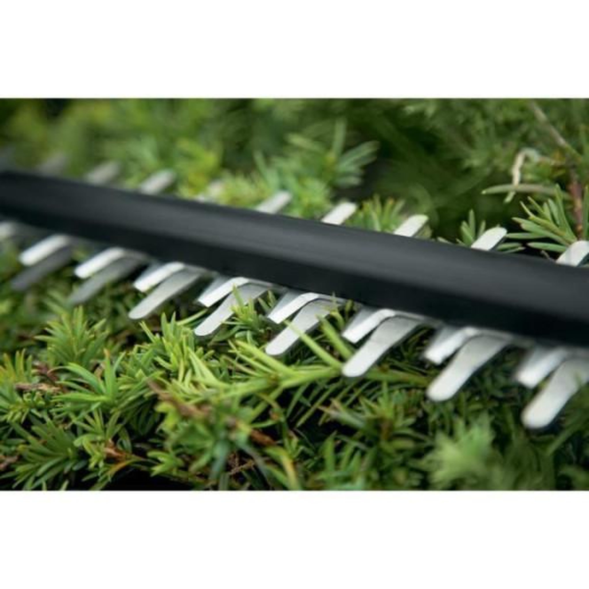 Voir la diapositive 6 : BOSCH Taille haies sans fil universalhedge cut 18-55 sans batterie bosch
