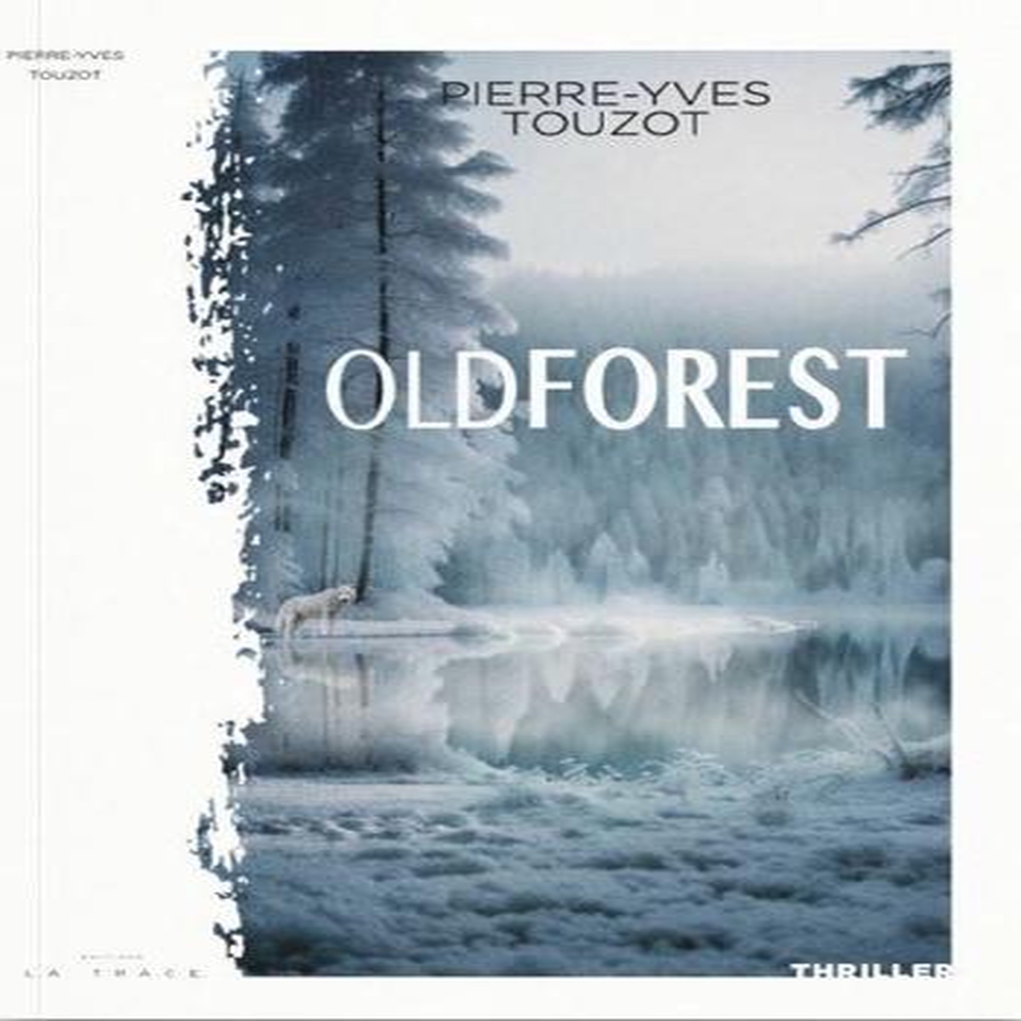 OLDFOREST TOME 1 , Touzot Pierre-Yves