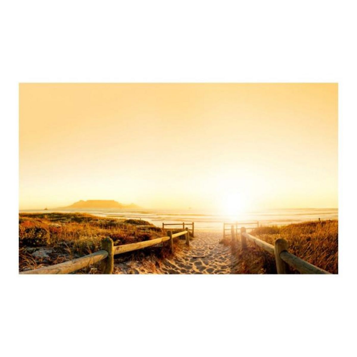 Paris Prix Papier Peint  Chemin Vers le Soleil... II  450x270cm