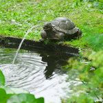 Ubbink Ubbink Fontaine de jardin a cracheur Tortue