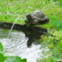 Voir la diapositive 1 : Ubbink Ubbink Fontaine de jardin a cracheur Tortue
