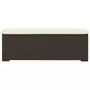 VIDAXL Banc pouf avec coussin marron 110x30x40 cm resine tressee