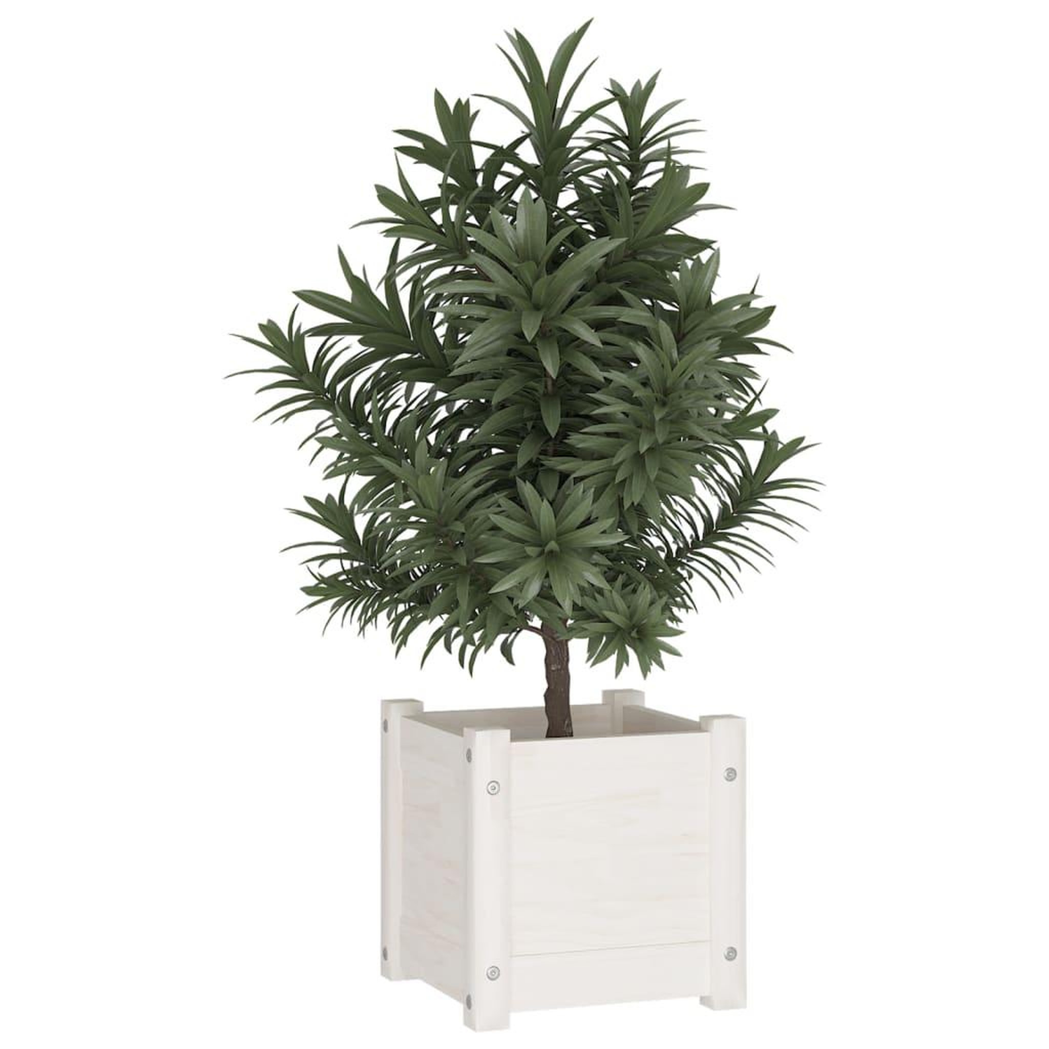 Voir la diapositive 3 : VIDAXL Jardinieres 2 pcs Blanc 31x31x31 cm Bois de pin massif