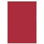 Voir la diapositive 2 : VIDAXL Store enrouleur occultant rouge largeur du tissu 95,7 cm