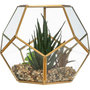 Voir la diapositive 2 : ATMOSPHERA Plante Artificielle & Terrarium Déco  Julie  17cm Or