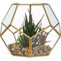 Voir la diapositive 2 : ATMOSPHERA Plante Artificielle & Terrarium Déco  Julie  17cm Or