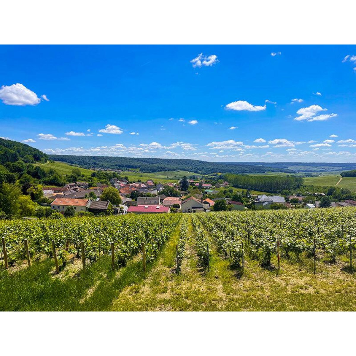 Smartbox Coffret de 6 bouteilles de champagne à savourer chez soi - Coffret Cadeau Sport & Aventure