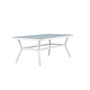 Voir la diapositive 3 : Paris Prix Table de Jardin  Virya  200cm Blanc & Gris