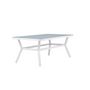 Voir la diapositive 3 : Paris Prix Table de Jardin  Virya  200cm Blanc & Gris