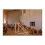 Voir la diapositive 4 : KERBL Tour d'escalade pour poules - KERBL - 85 x 55 x 76 cm - Avec balançoire - Echelle robuste