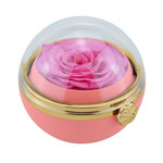 SC CRYSTAL Boite à bijoux décorée d'une rose éternelle - stabilisée rose