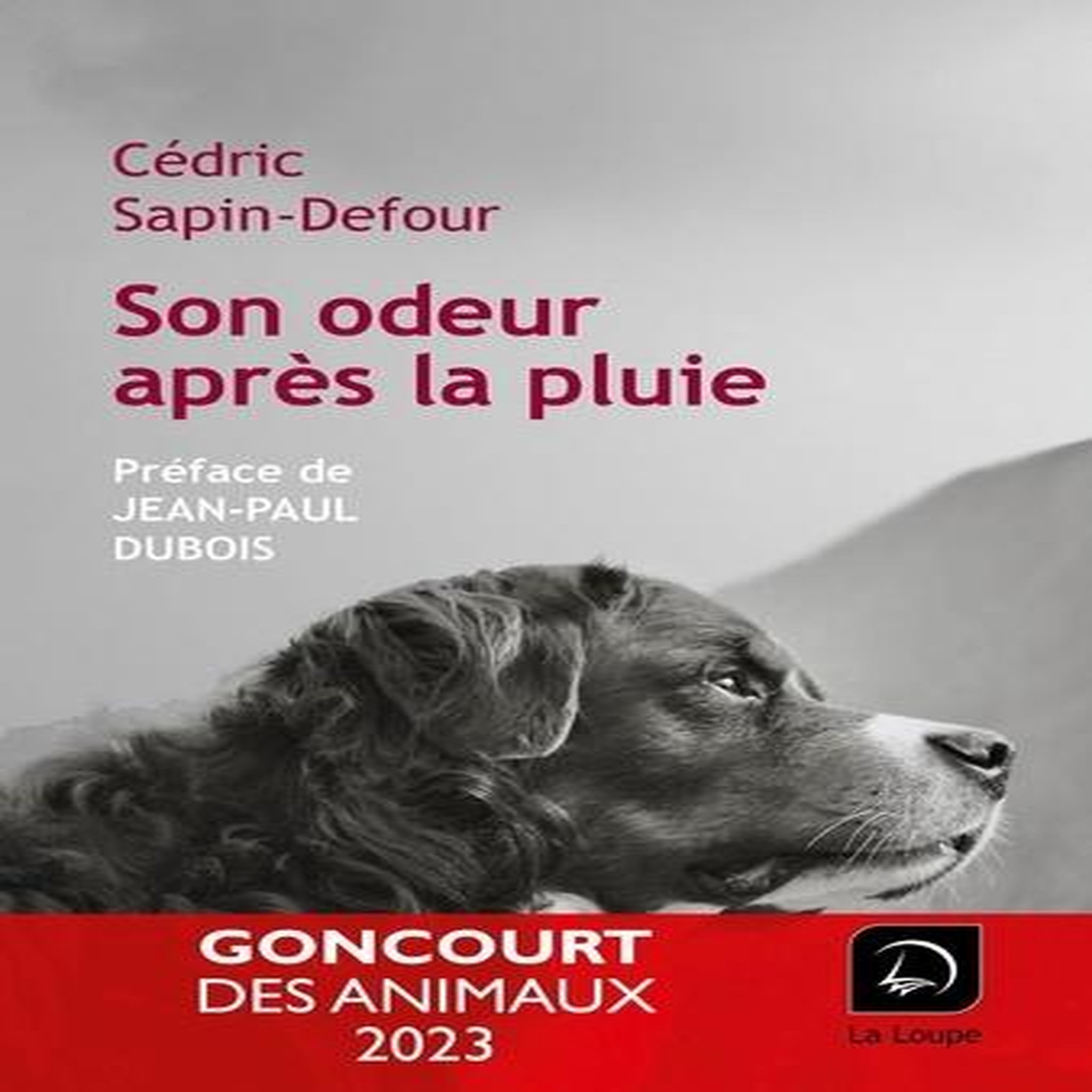 SON ODEUR APRES LA PLUIE [EDITION EN GROS CARACTERES], Sapin-Defour Cédric