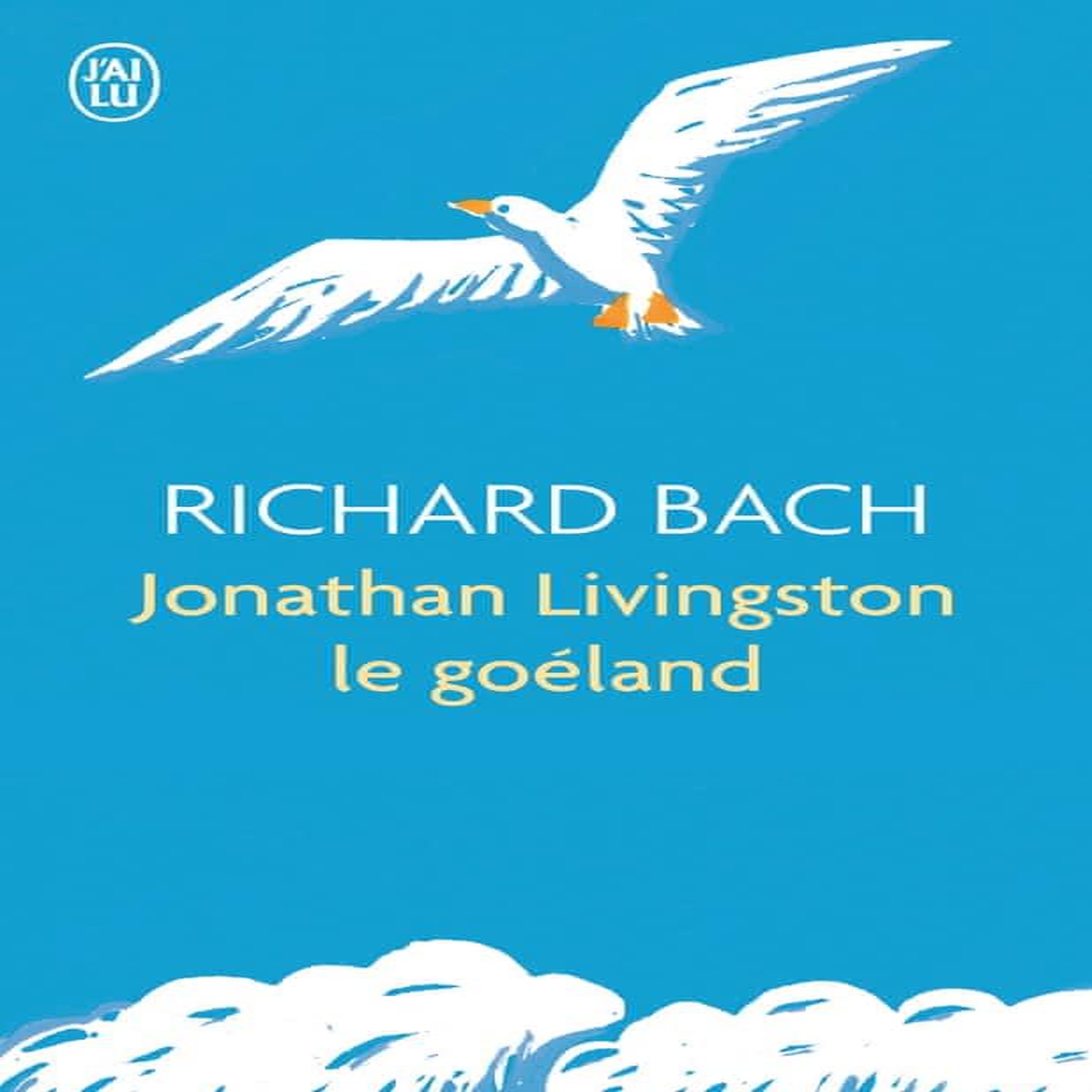 Jonathan Livingston le Goéland, Bach Richard