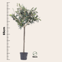 Voir la diapositive 2 : PLANT IN A BOX Olivier artificiel - Hauteur 65cm