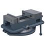 Voir la diapositive 3 : VIDAXL Etau a table tournante Fonte 160 mm