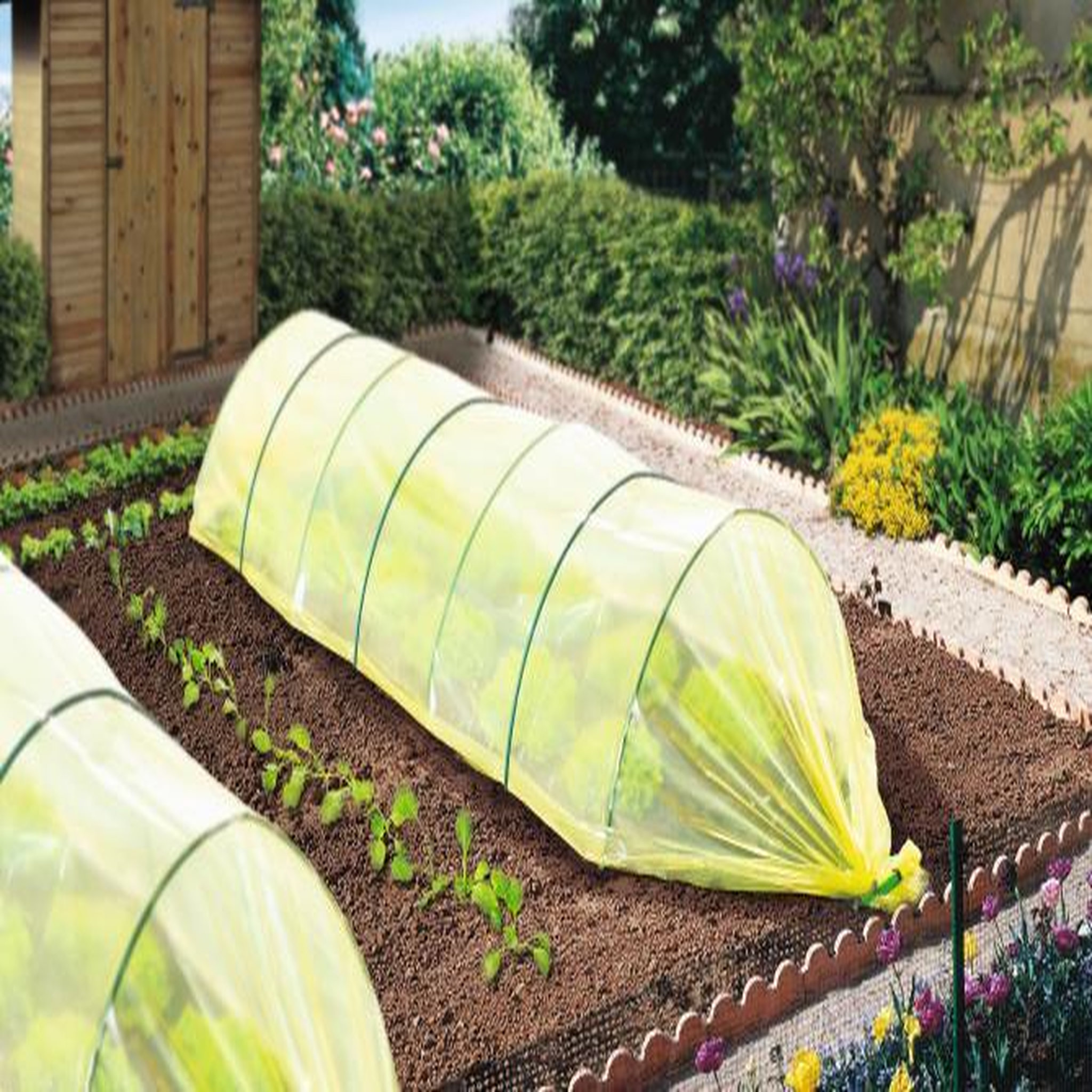 Nortene Film de forçage maraîcher CLIMAPRO 2,5x10m
