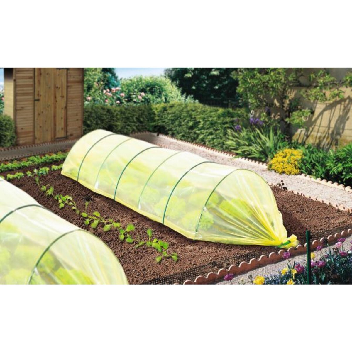 Nortene Film de forçage maraîcher CLIMAPRO 2,5x10m