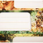 GLOBAL GIFT 12 étiquettes adhésives scolaires - Rectangle - Photos félins