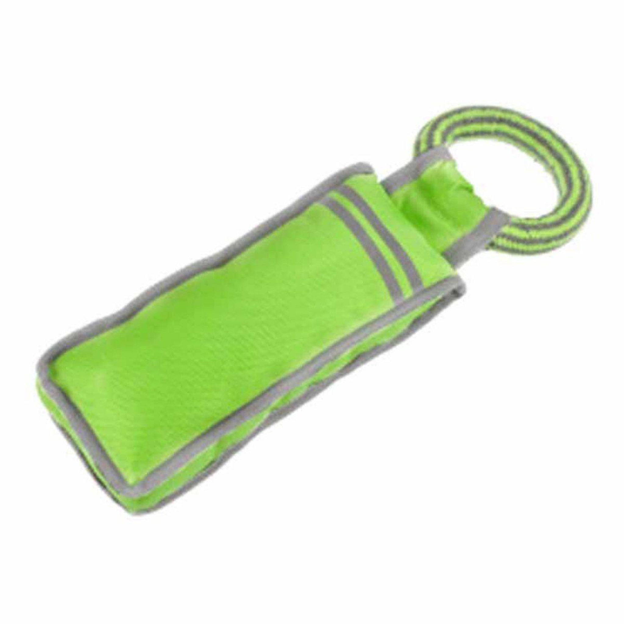 LOVE STORY Jouet pour chien  oxford fitness  32cm vert