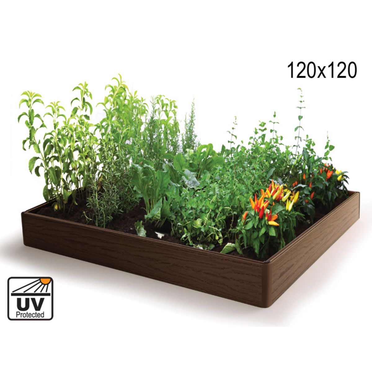 GARDENSTAR Carré Potager - Résine modulable - 120x120x20cm