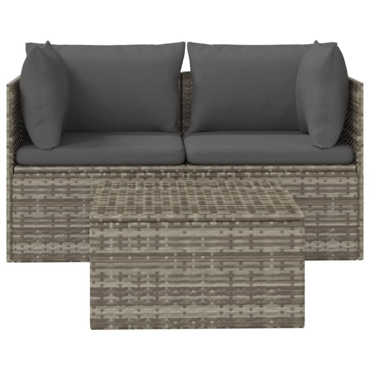 VIDAXL Salon de jardin 3 pcs avec coussins Gris Resine tressee